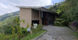 FOREST MANSION (Price in USD)