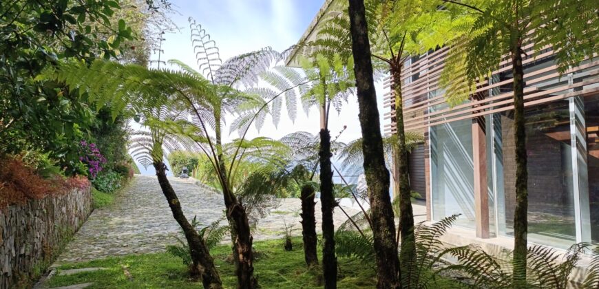 FOREST MANSION (Price in USD)