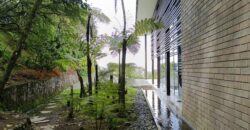 FOREST MANSION (Price in USD)
