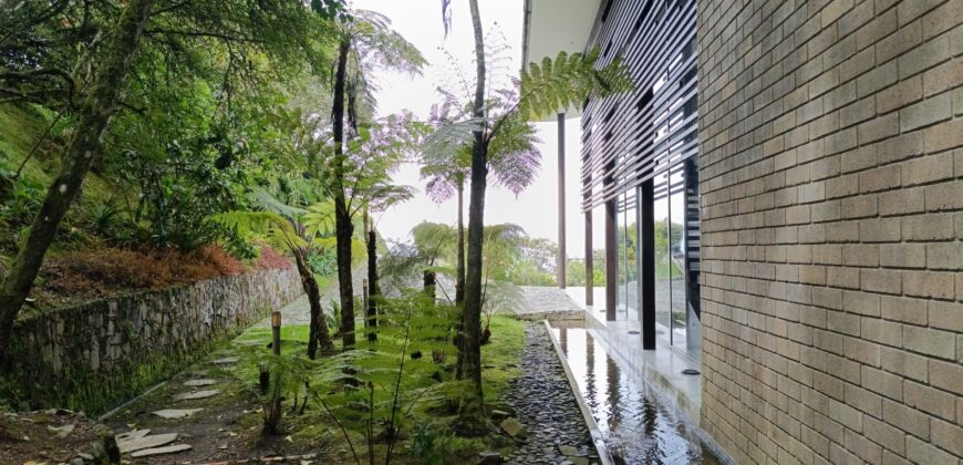 FOREST MANSION (Price in USD)
