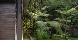 FOREST MANSION (Price in USD)