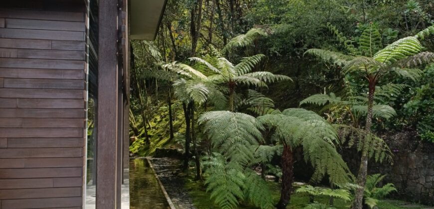 FOREST MANSION (Price in USD)