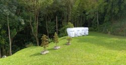 FOREST MANSION (Price in USD)