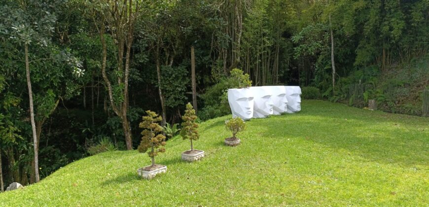 FOREST MANSION (Price in USD)