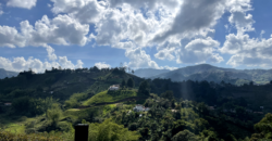 GUATAPÉ HOUSE (Price in USD)