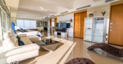 PENTHOUSE WITH JACUZZI (Price in USD)
