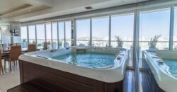 PENTHOUSE WITH JACUZZI (Price in USD)