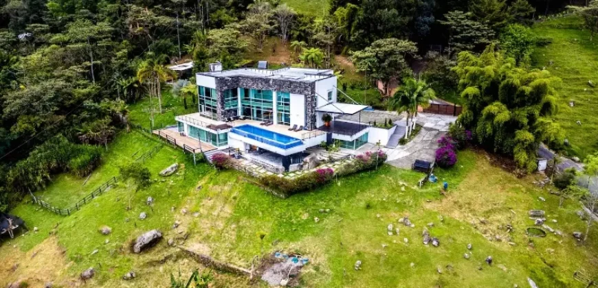 HOLLYWOOD HOUSE (VALUE IN DOLLARS)